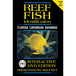 Reef Fish Id Dvd 4.0